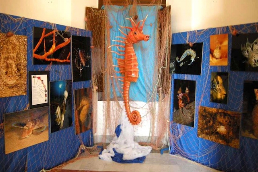 Comunicare il mare - Menfi (Sicilia)