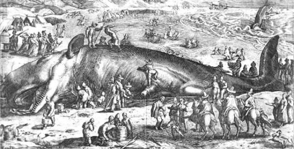 2010 - Capodogli. Ambasciatori del mare