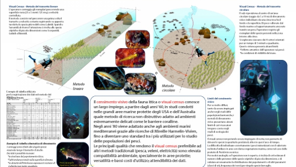Tecniche di ricerca subacquea