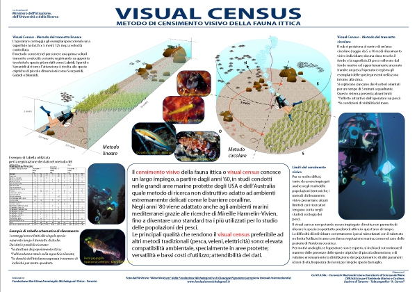 Visual Census - Metodologie di Indagine Ambientale Subacquea