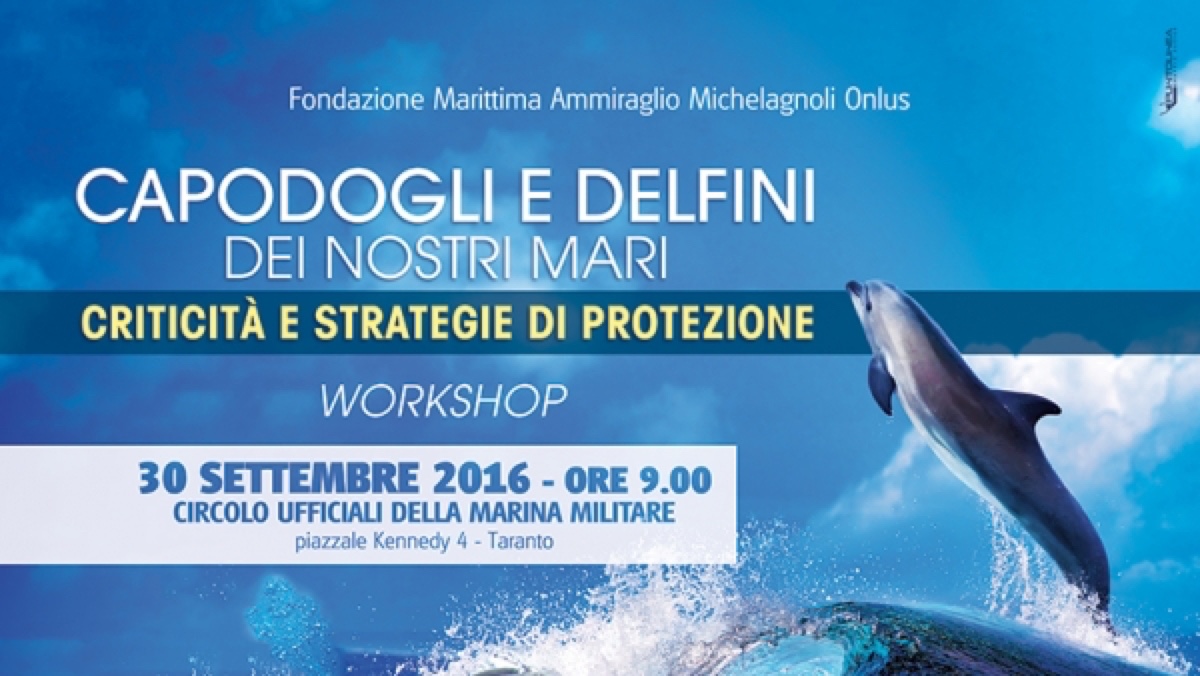 Capodogli e delfini dei nostri mari, il workshop