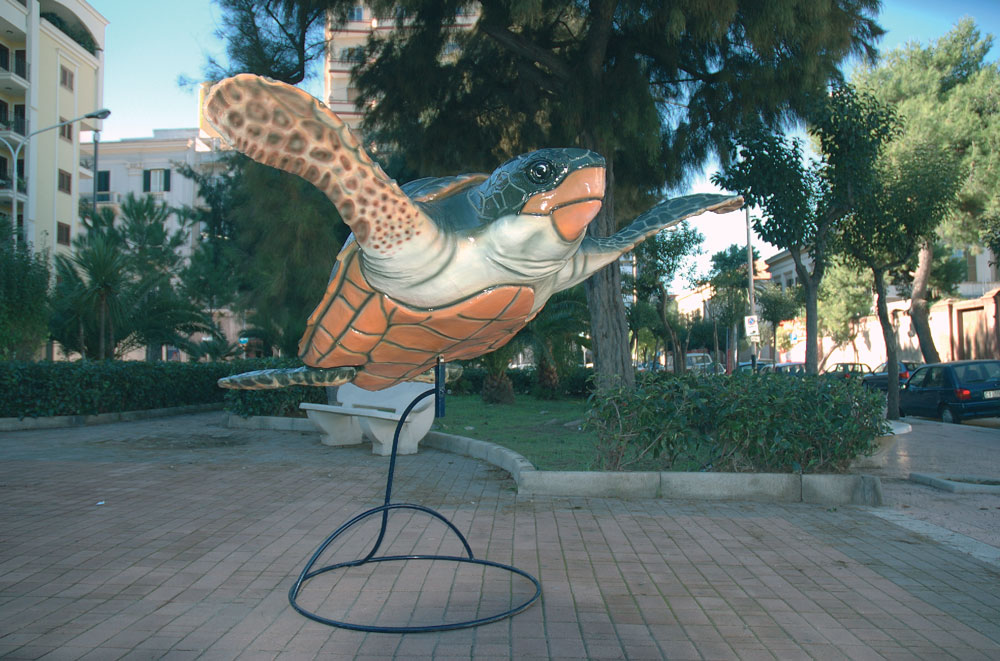 Cavallucci, Delfini, ...