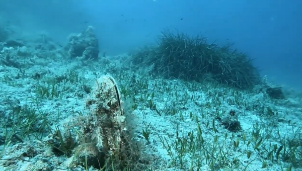 MER, il più grande e ambizioso progetto sul mare